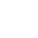 1929bet icon